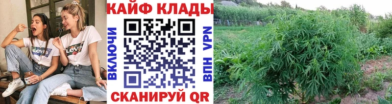 Купить Марихуана СОЛЬ ГАШ Меф КОКАИН Славянск-на-Кубани