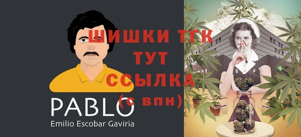 МДПВ Арсеньев
