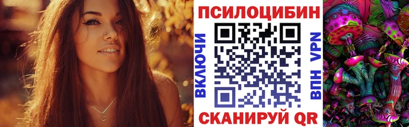 Купить  Славянск-на-Кубани  Псилоцибиновые грибы Magic Shrooms 